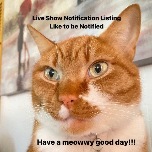 PATNISSR IS LIVE - LIVE SHOW NOTIFICATION - Picture 2 of 3